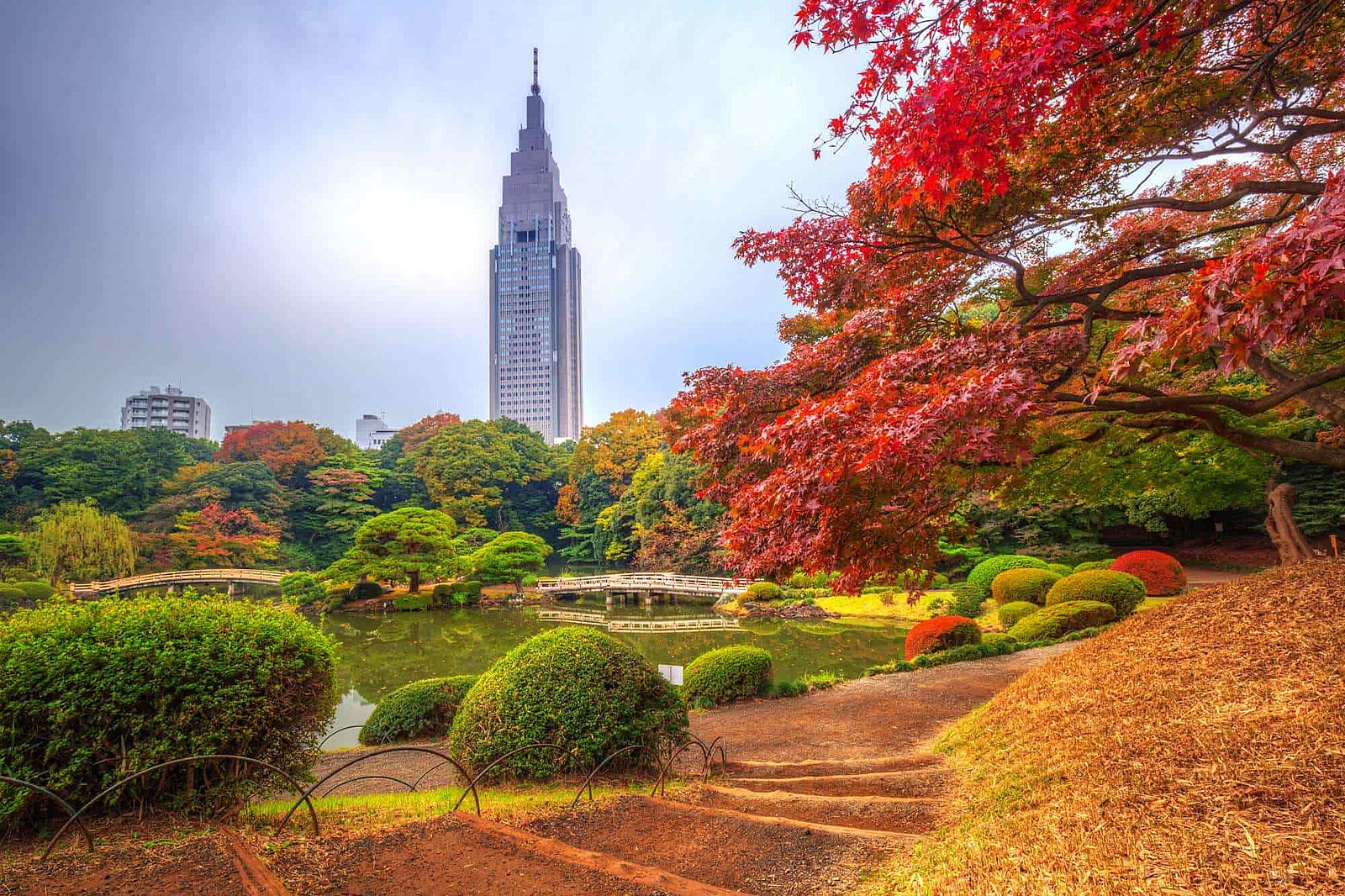 【残り2枠】12/21 新宿御苑で紅葉🍁を観ながら謎解き🔍✨