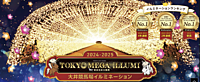 【女性主催】とんでもないレベルのイルミネーション「大井競馬場メガイルミ」を見に行く【現12名】