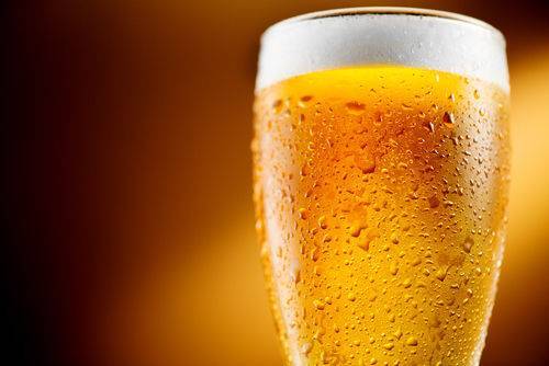 【早割中】超人気のビールフェスに行こう🌸🌸🌸
