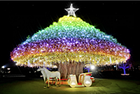 【現14！女性主催】都内最強のイルミネーション【メガイルミ- 大井競馬場】に行きましょう