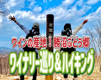 3/9 ◎ワイナリー巡り＆ハイキング◎勝沼ぶどう郷！ワイナリー、ぶどうの丘！
