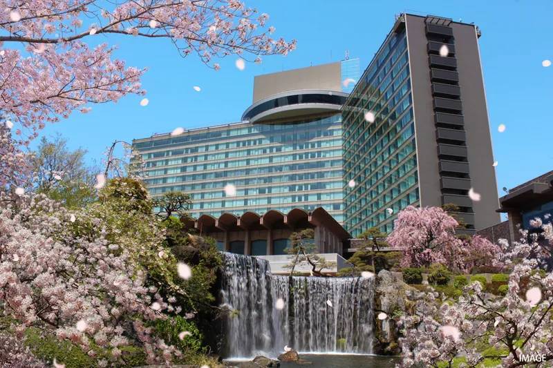 【早割中】日本庭園の桜を見に行こう🦊🦊🦊