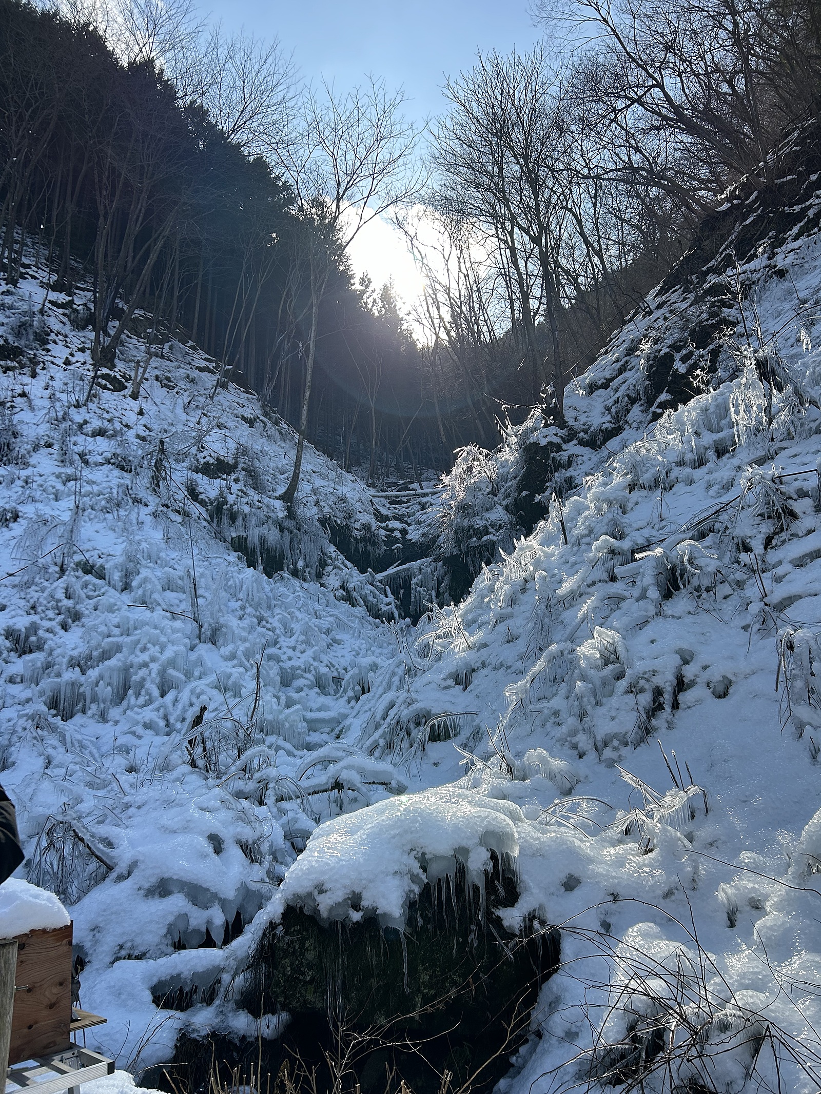 【芦ヶ久保氷柱×秩父街歩き】冬の絶景と歴史探訪を楽しむ特別な一日❄️✨