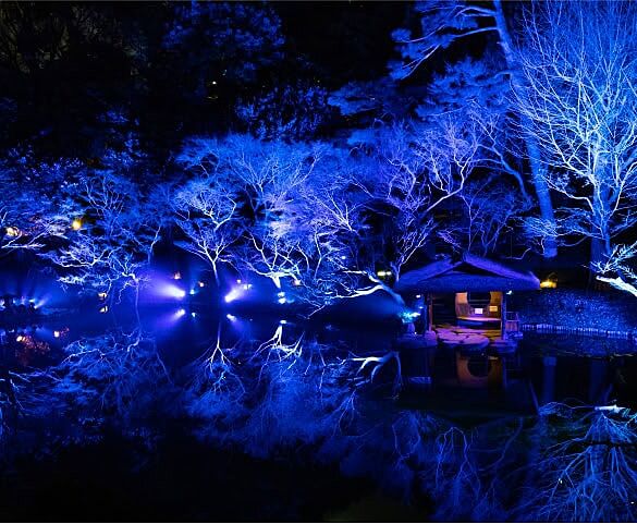 【早割中】八芳園のTOKYO BLUE GARDENに行こう🌉✨