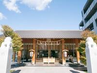 【20代30代限定】初詣しておみくじを引こう🎀🎀