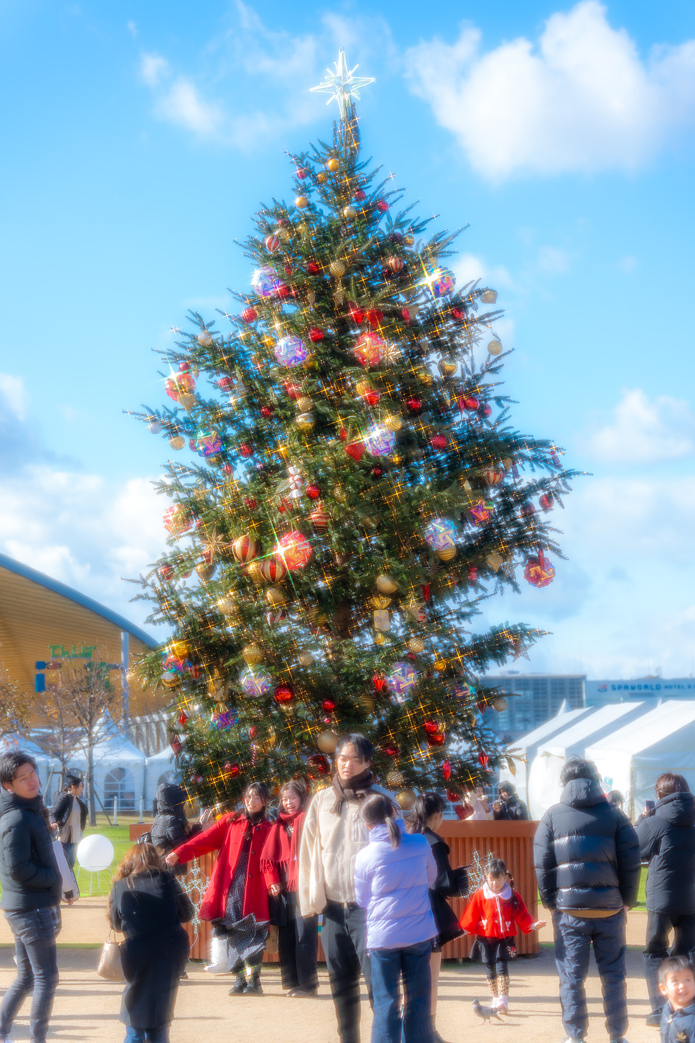 【天王寺】クリスマスフォトウォークしませんか？📸