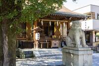 【20代30代限定】東新宿神社巡り〜&初詣しよ〜🌺🌺