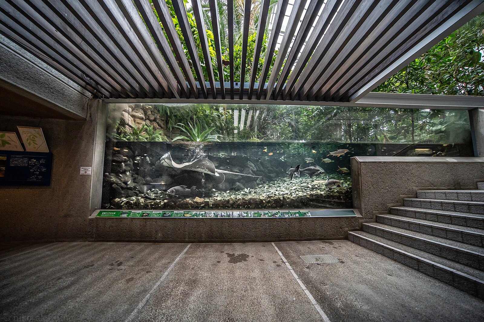 【入場料250円】熱帯雨林を温室、冷室、ミニ水族館で再現し、自然を体験できる熱帯環境植物館に行こう🐟