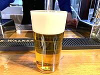 【予約困難の人気店】サクッと1杯🍻生ビールアワードにも選ばれたこだわり抜いた生ビールを堪能しよう🍻