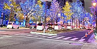 🌲御堂筋イルミネーション🌲