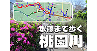 桃園川源流まで暗渠散歩！気象神社(天気の子)、阿佐ヶ谷神明宮、天沼八幡神社など神社巡りも
