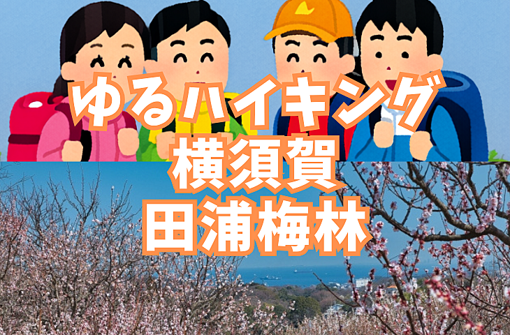 【ゆるハイキング】【初心者向け】2月23日（日）横須賀・田浦梅林！海が見える絶景の高台へ！