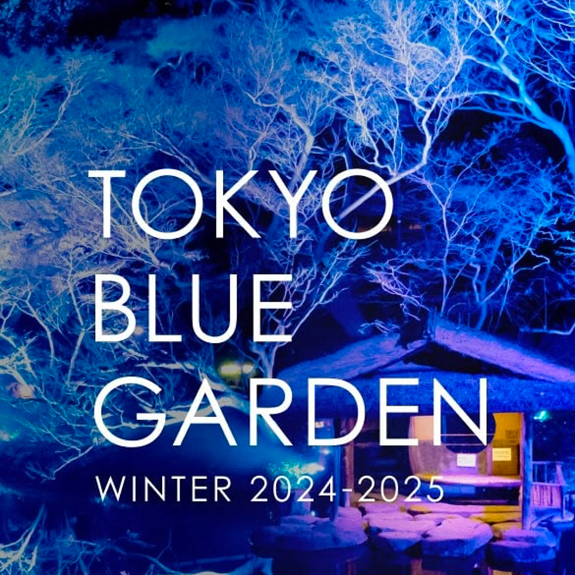 1/23 【一万歩歩こう！】八芳園TOKYO BLUE GARDEN