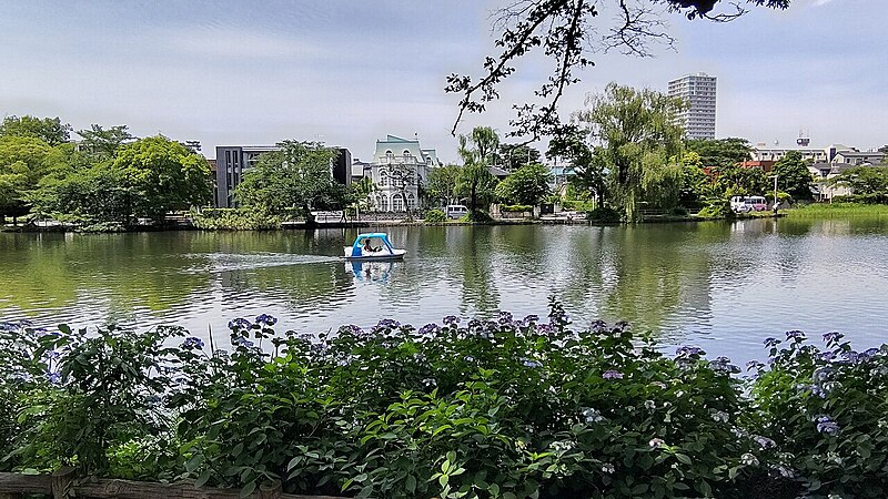 石神井公園でフォトウォークしよう📸