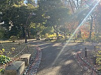 【日比谷公園】朝さんぽ と カフェトーク🚶🏻
