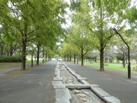 [参加費無料🆓] 舎人公園でウォーキング＆写真撮影しよう📸 (2025冬の部)