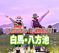 7/12.13◎白馬八方池／一泊二日◎八方池山荘に泊まって八方池のリフレクション、高山植物を見に行こう！