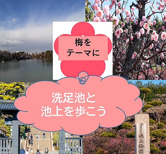 【梅と歴史をテーマに1回目？】洗足池と池上付近を歩こう（説明・解説有）