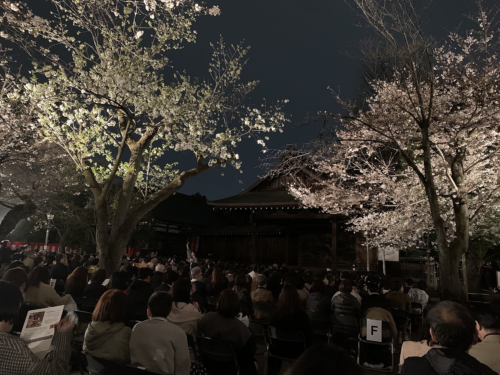 夜桜の美しい靖国神社で薪能を観ましょう