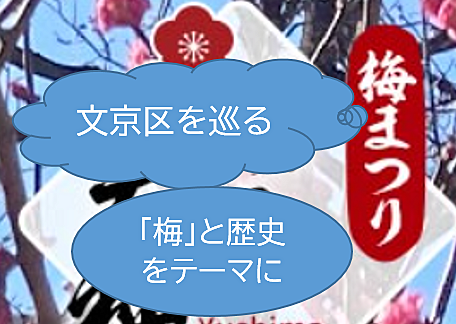 【梅とスイーツと歴史がテーマ】文京梅まつりと文京区を歩こう（説明・解説有り）