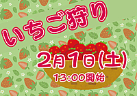 🍓いちご狩り🍓小郡のいちご農園🍓