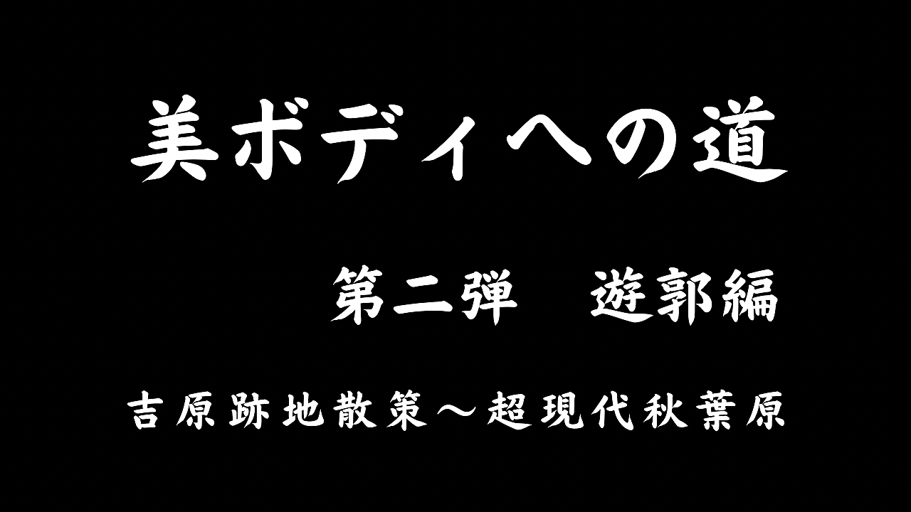 美ボディへの道　〜第二弾　遊郭編〜　吉原跡地散策→超現代秋葉原