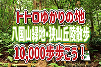 2/22 【一万歩歩こう！】トトロゆかりの地_ハ国山緑地、狭山丘陵を散策してみよう〜