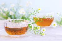 【平成生まれ×カフェ×渋谷】いろんな方と会話して仲良くなろう！！