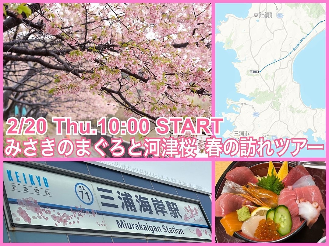 【平日開催】みさきのおいしい魚料理と河津桜を鑑賞🌸春のおとずれ満喫ツアー