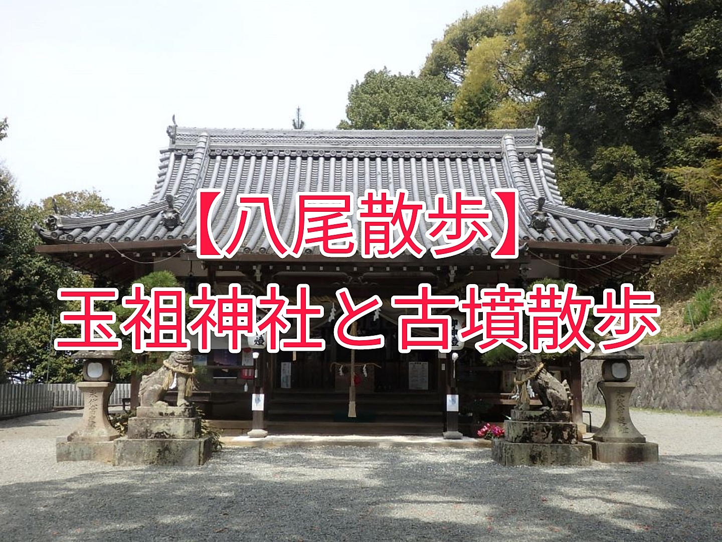 【八尾散歩】玉祖神社と心合寺山古墳散歩