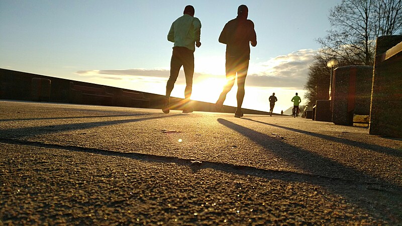 皇居でゆるくまったりランニング5km