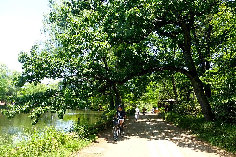 石神井公園でウォーキング＆写真撮影しよう📸 (2025春の部)