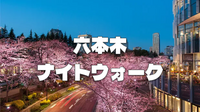 【六本木】のんびり歩きながら夜桜（咲いていれば）と交流を楽しみましょう♪