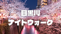 目黒川桜祭りライトアップと交流を楽しみましょう😊
