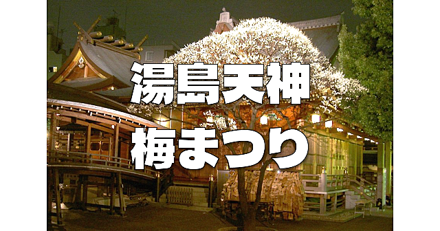 ライトアップされた梅の名所「湯島天神」と東京大学など周辺散歩♪