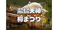 ライトアップされた梅の名所「湯島天神」と東京大学など周辺散歩♪