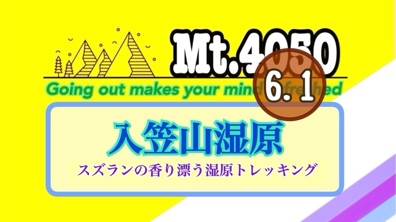 《6/1》湿原に咲くスズランや春の草花に包まれる南アルプス眺望トレッキング🚗