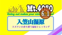 《6/1》湿原に咲くスズランや春の草花に包まれる南アルプス眺望トレッキング🚗