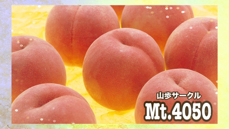 《6/30》カラダ中が桃色になるかもしれない⁈🍑山梨 桃づくし🚗
