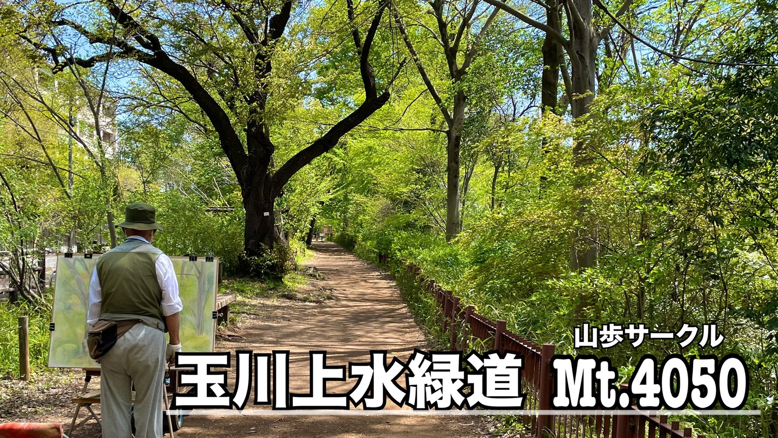 木漏れ日とそよ風の玉川上水緑道ロングウォーキング🐾