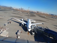 【20代主催】羽田空港✈️の癒しパワースポット⛩️&国際線ターミナル🌏️巡り