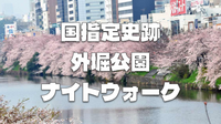 ＜国指定史跡＞江戸時代の史跡「外堀公園」で(咲いていれば)夜桜鑑賞とお散歩！