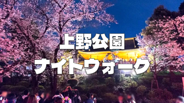 花見の名所「上野公園」で夜桜ナイトウォーク！