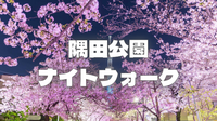 浅草寺と隅田公園（浅草側）で夜桜ナイトウォーク！