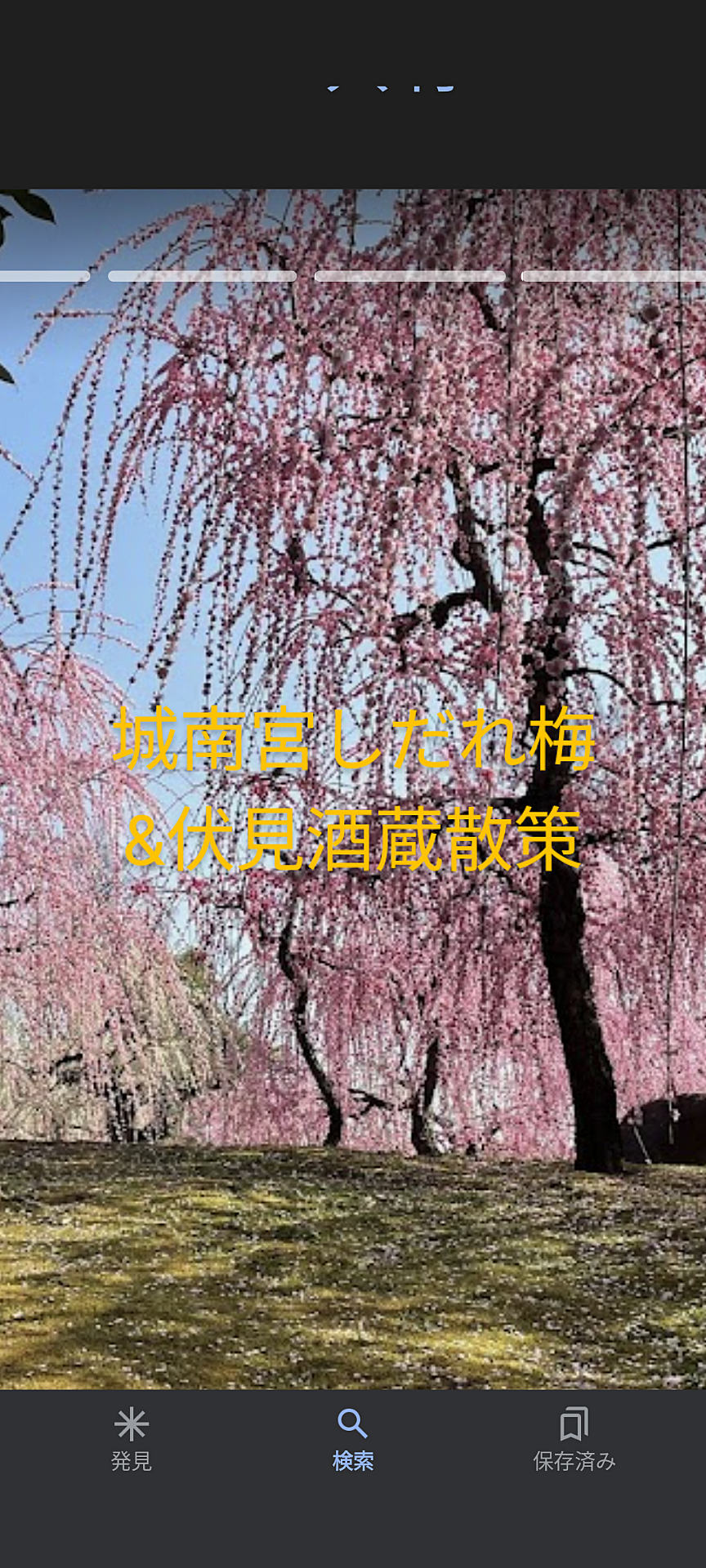 【城南宮しだれ梅&伏見酒蔵散策】美しい梅の花と酒蔵巡りで心もお腹も満たされる特別な散策✨