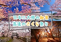 日三大桜のひとつの高遠さくら祭りでお花見を楽しもう！