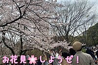 お花見🌸しようぜ！【鬼ごっこサークル】