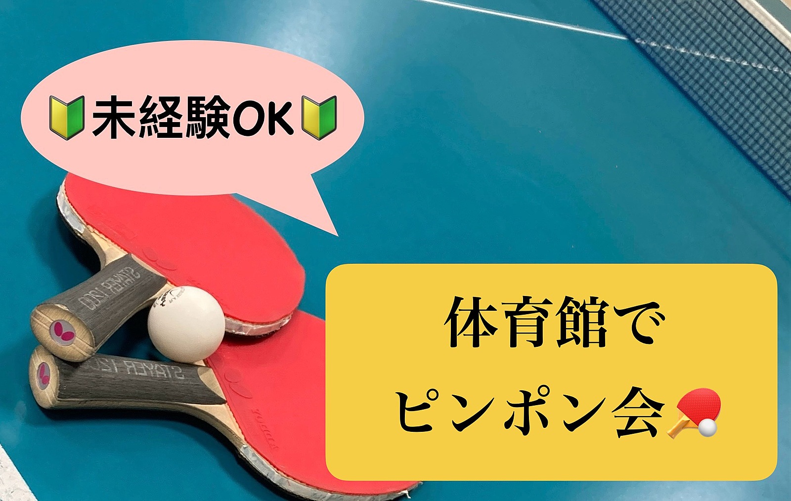 【🔰未経験OK🔰】2/11夜 第68回！体育館でピンポン会！🏓