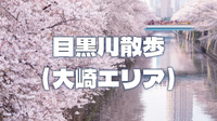 桜並木で有名な目黒川沿いと周辺散策を楽しみます。