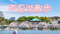 不忍池、辯天堂などのお散歩。時間があれば上野の山も♪